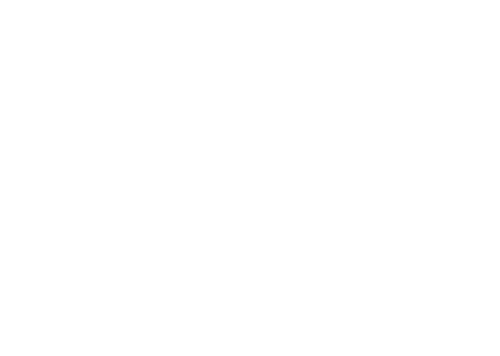 lacoquille-concarneau.com
